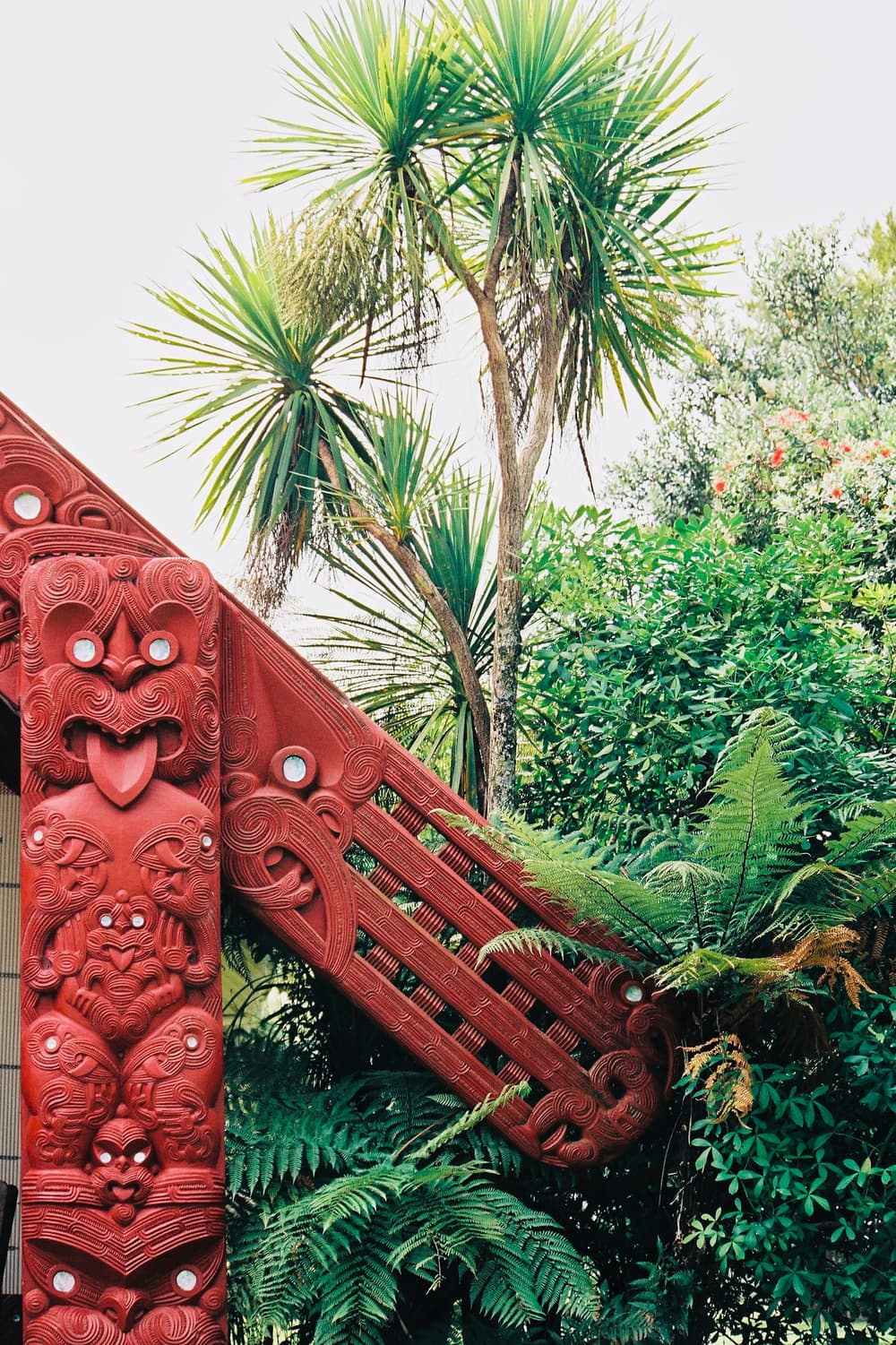Carved Māori wharenui gable detail surrounded by native New Zealand bush